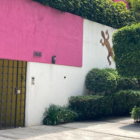 Hostal Cuija Coyoacan Berlin 268 Coyoacan Мехико Экстерьер фото