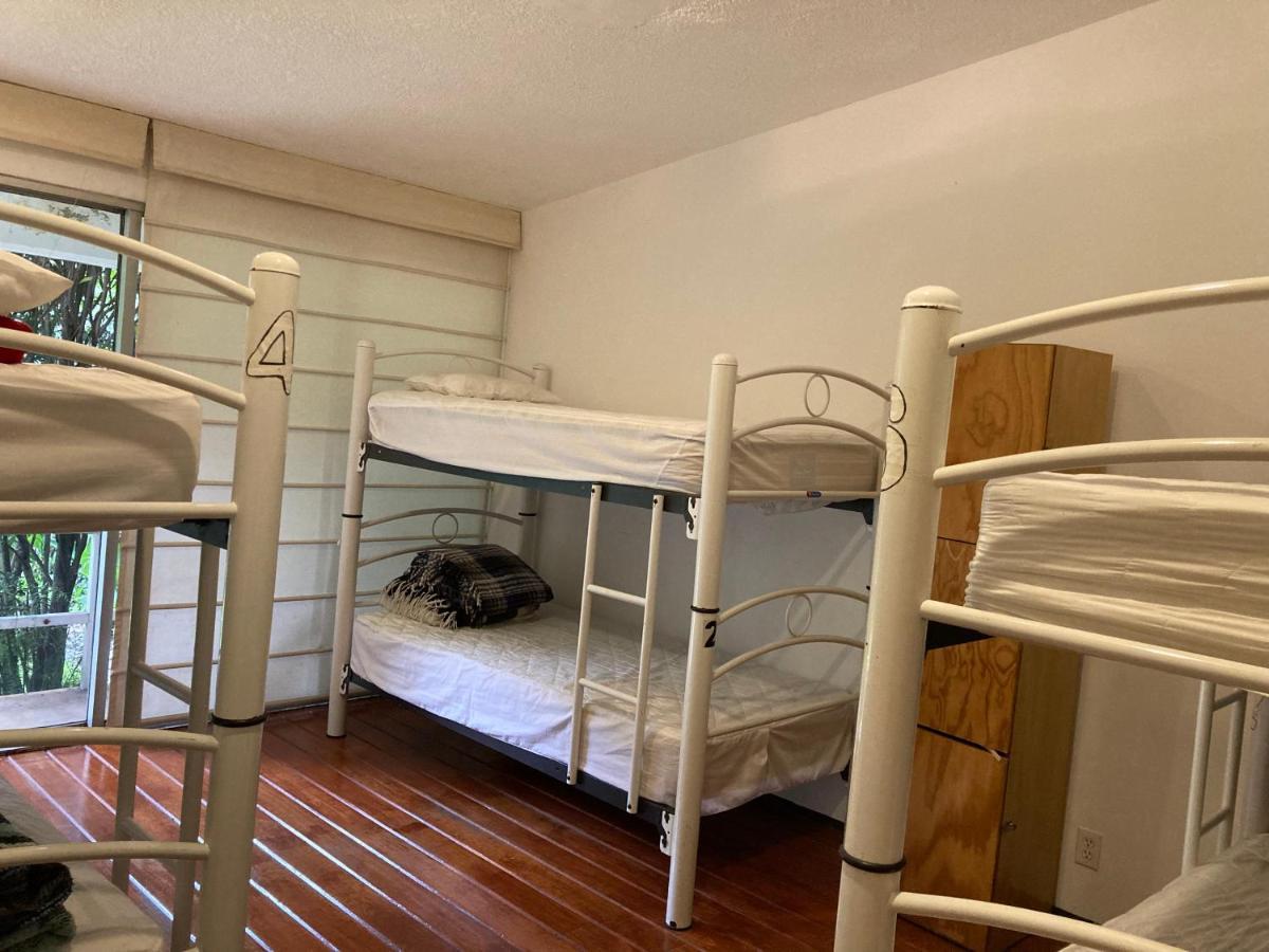 Hostal Cuija Coyoacan Berlin 268 Coyoacan Мехико Экстерьер фото