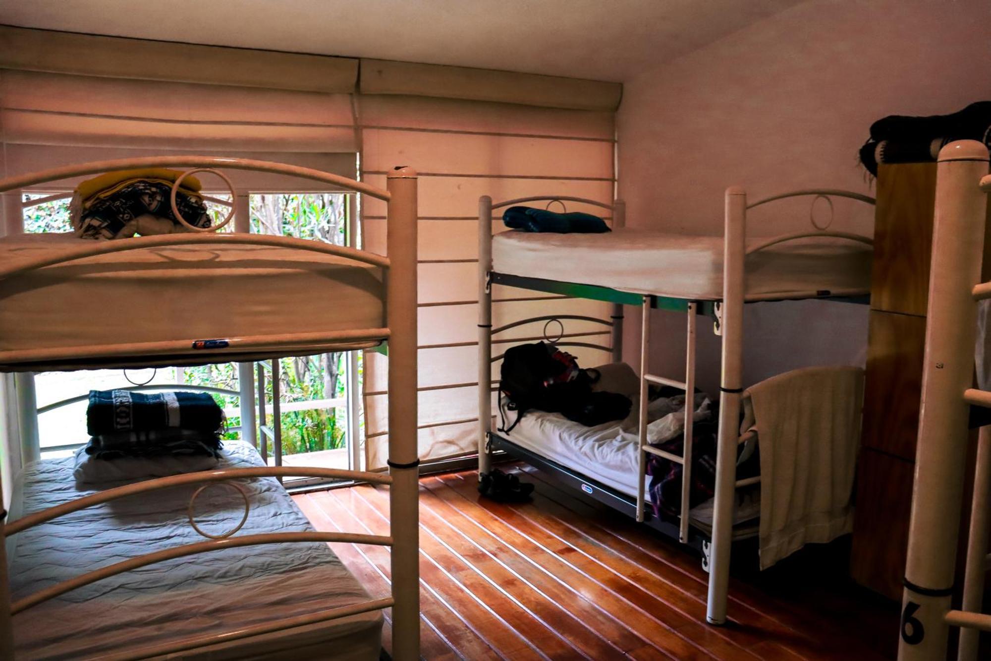Hostal Cuija Coyoacan Berlin 268 Coyoacan Мехико Экстерьер фото