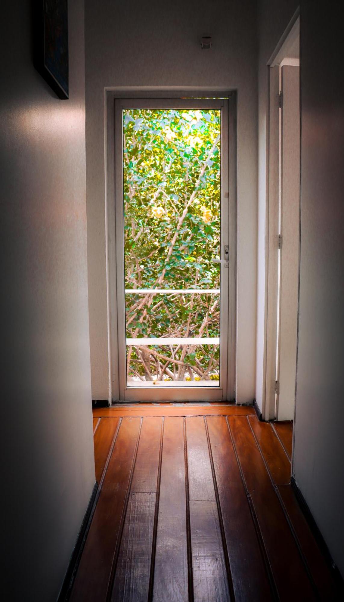 Hostal Cuija Coyoacan Berlin 268 Coyoacan Мехико Экстерьер фото